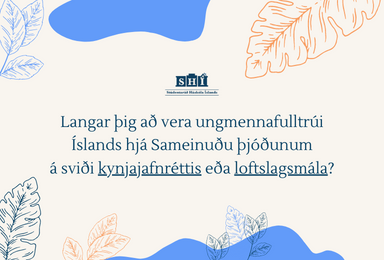 Langar þig að vera ungmennafulltrúi Íslands hjá Sameinuðu þjóðunum á sviði kynjajafnréttis eða loftslagsmála?